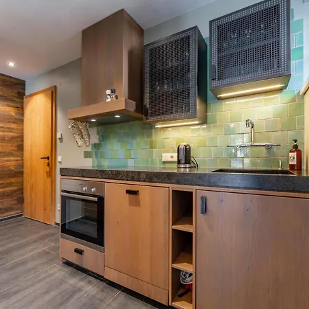 Schneeloewe L 度假居 *