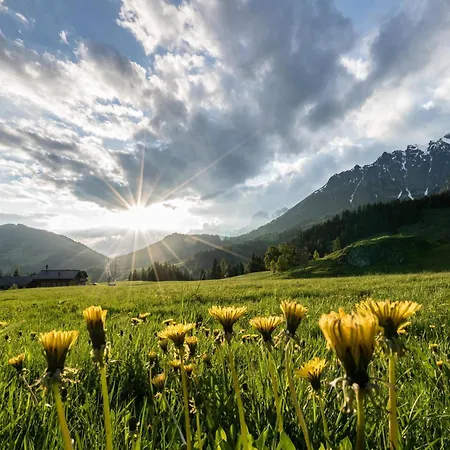 度假居 Schneeloewe L 莱奥冈