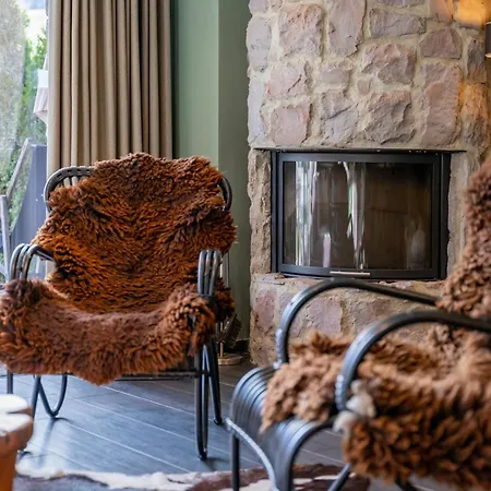 Schneeloewe L * לאוגנג