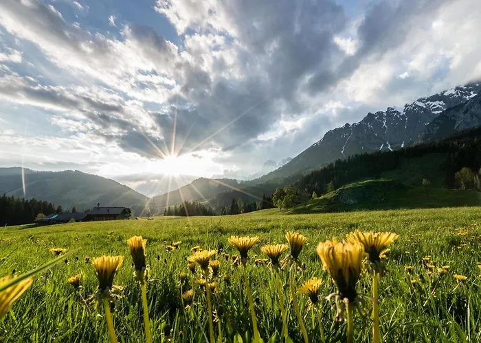 Casa de Férias Schneeloewe L Leogang